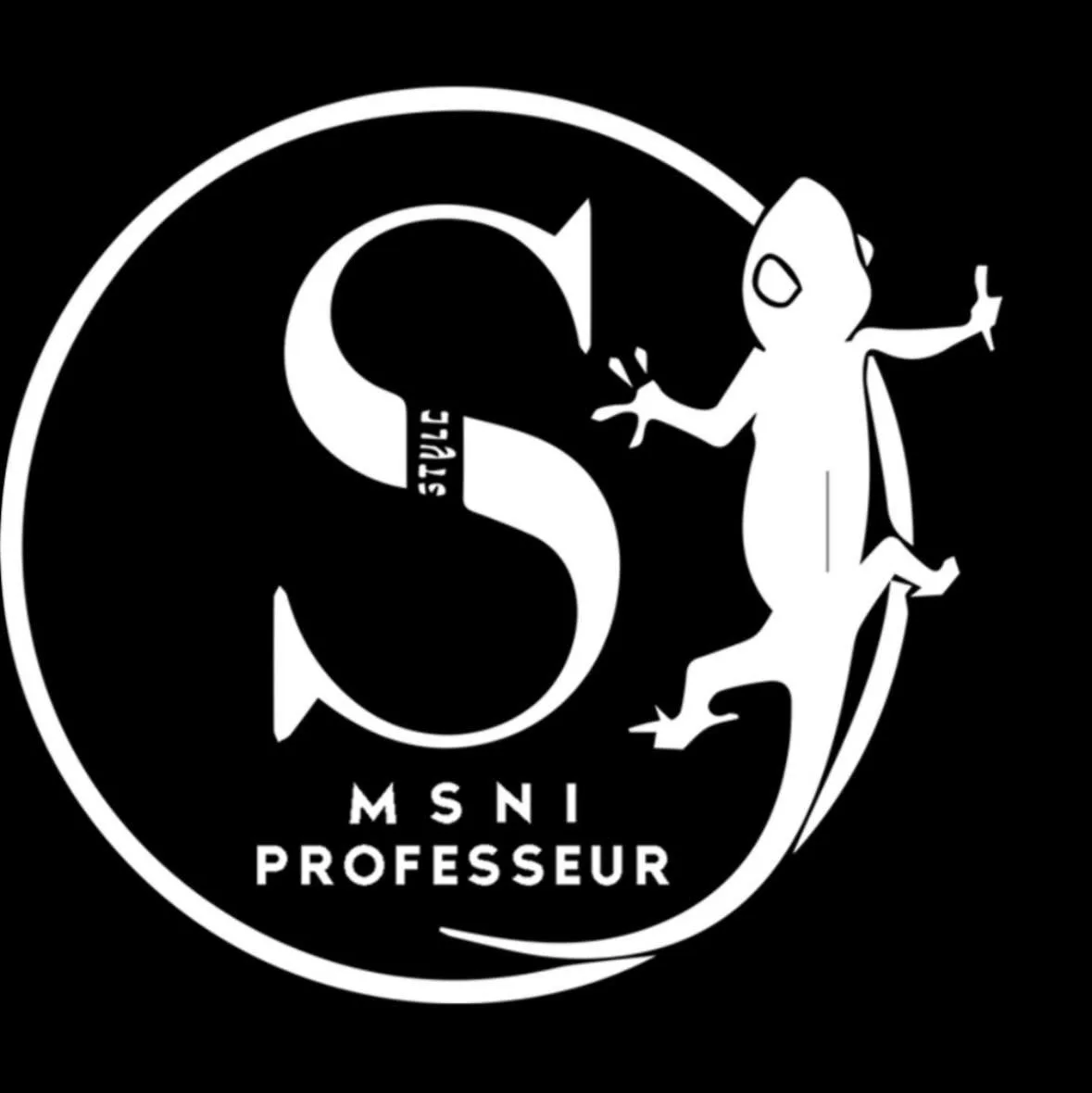 Le professeur