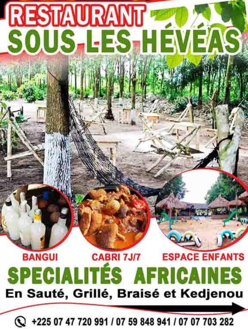 Restaurant sous les hévéas chez Difé