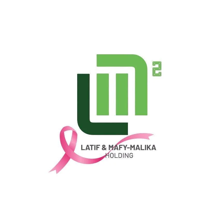 L&M Holding